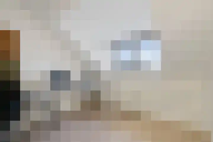 Hooiberg 12 Didam thumbnail 26
