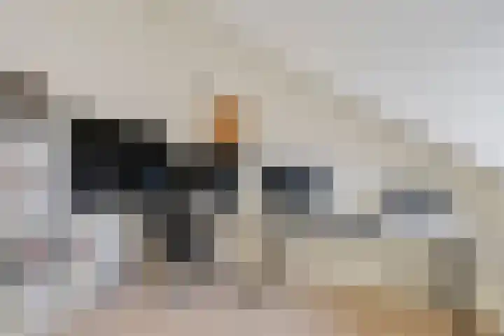 Hooiberg 12 Didam thumbnail 27
