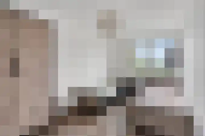 Hooiberg 2 Didam thumbnail 20