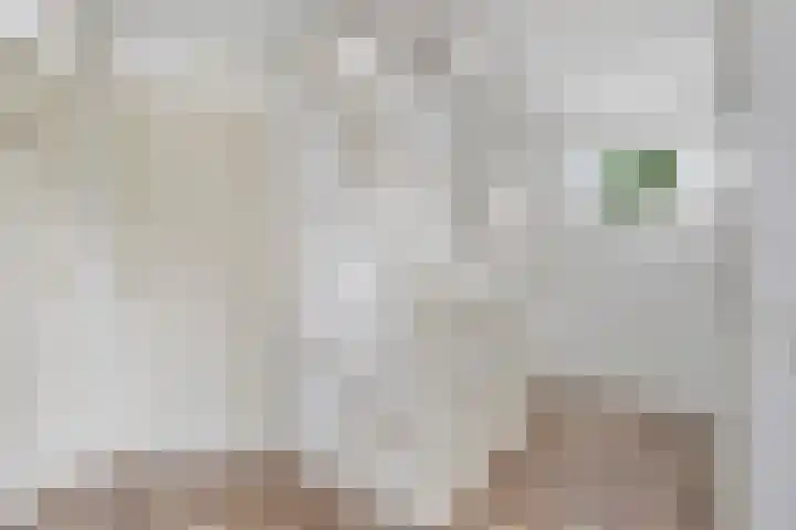 Hooiberg 2 Didam thumbnail 24