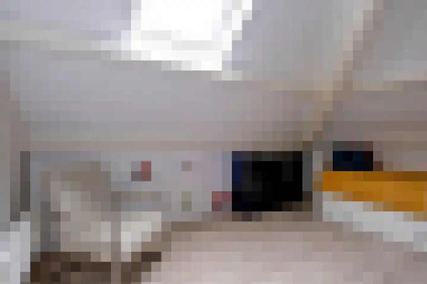 Hooiberg 2 Didam thumbnail 25