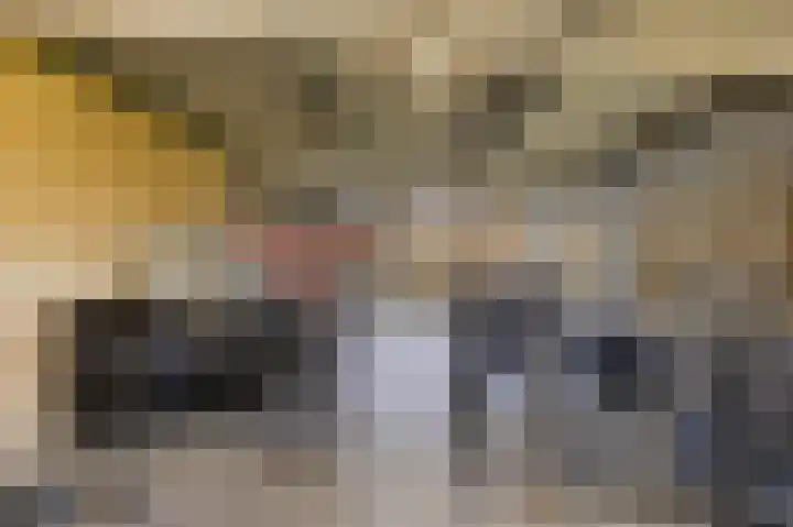 Hooiberg 2 Didam thumbnail 4