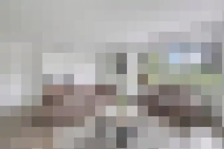 Hooiberg 2 Didam thumbnail 5