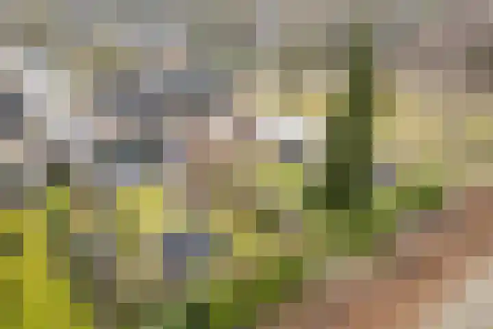 Hooiberg 2 Didam thumbnail 7