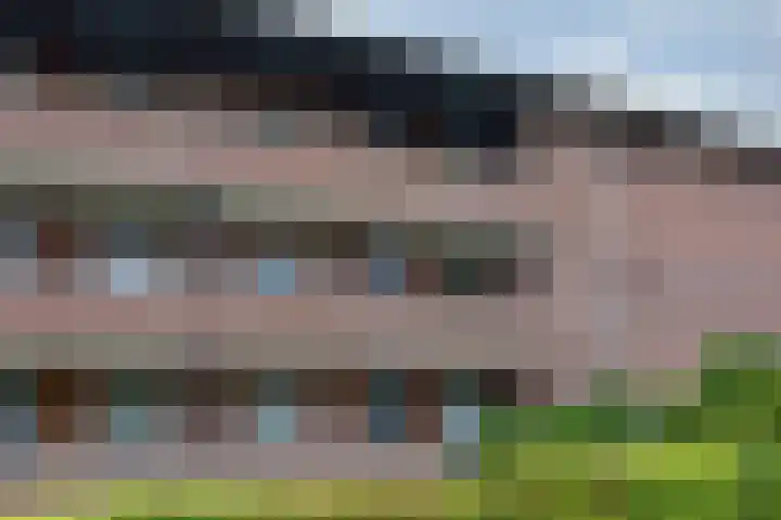 Hooiberg 26 10 Didam thumbnail 10