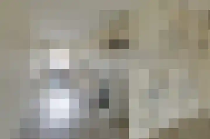 Hooiberg 26 10 Didam thumbnail 20