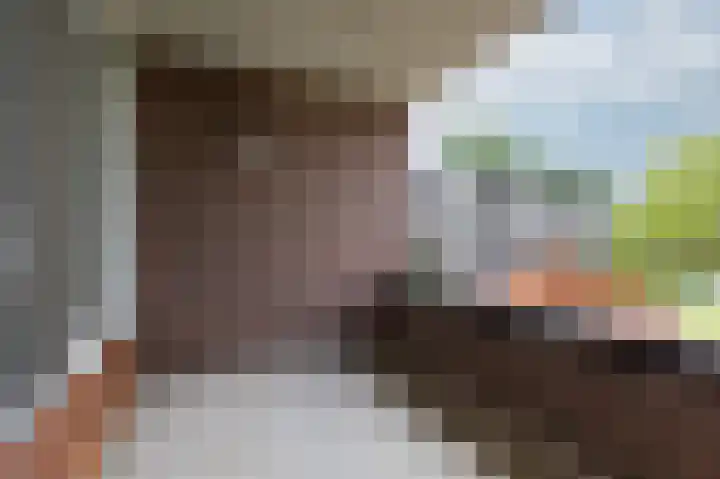 Hooiberg 26 10 Didam thumbnail 24