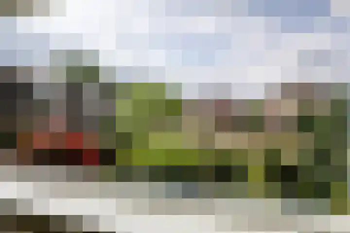 Hooiberg 26 10 Didam thumbnail 28