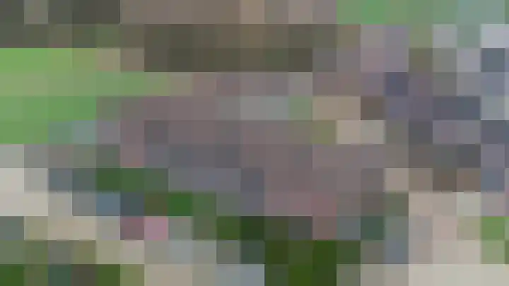 Hooiberg 26 10 Didam thumbnail 42