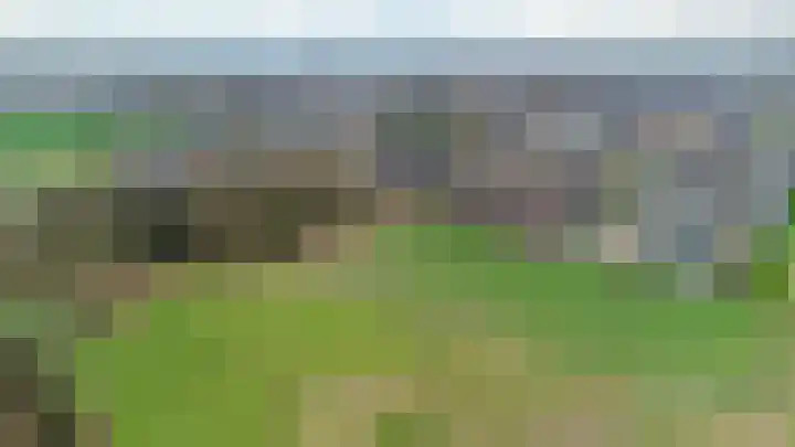Hooiberg 26 10 Didam thumbnail 47