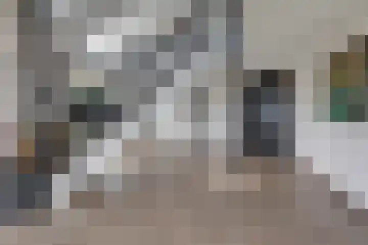 Hooiberg 26 10 Didam thumbnail 7