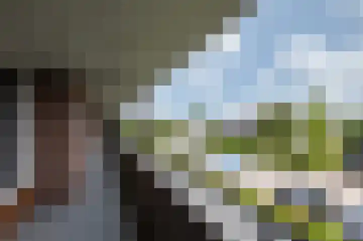 Hooiberg 26 10 Didam thumbnail 9