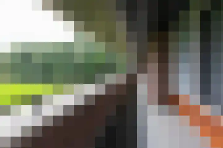 Hooiberg 26 22 Didam thumbnail 11
