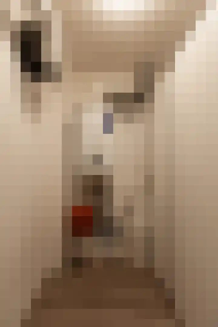 Hooiberg 26 22 Didam thumbnail 18