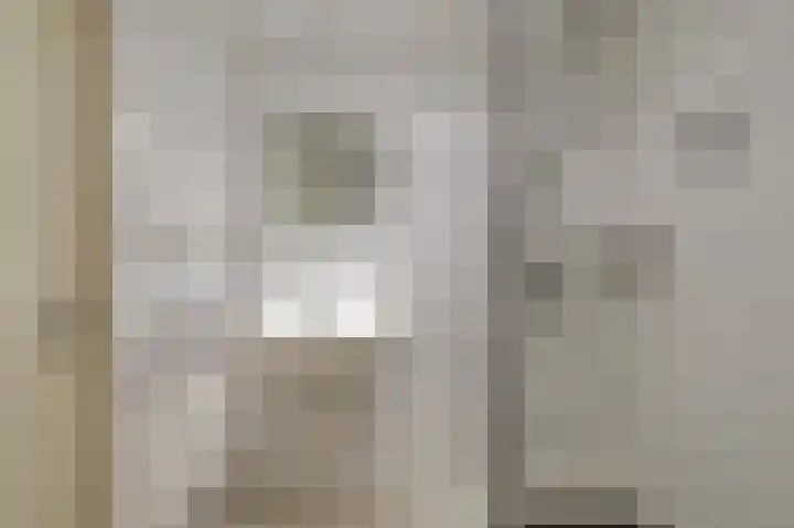 Hooiberg 26 22 Didam thumbnail 20