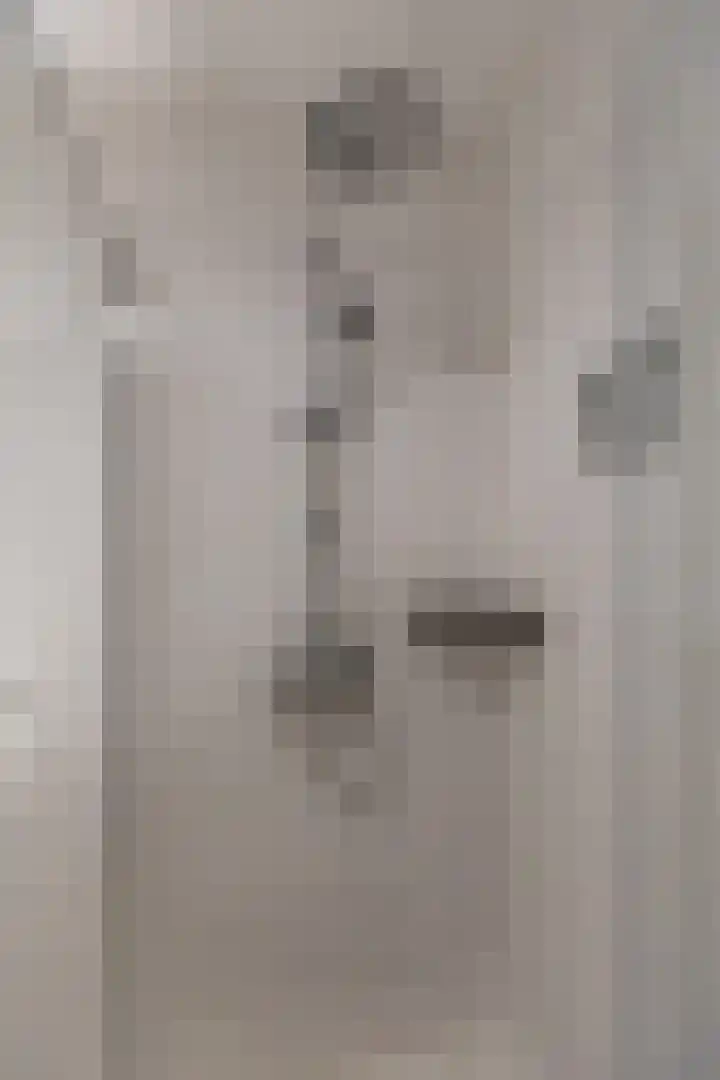 Hooiberg 26 22 Didam thumbnail 21