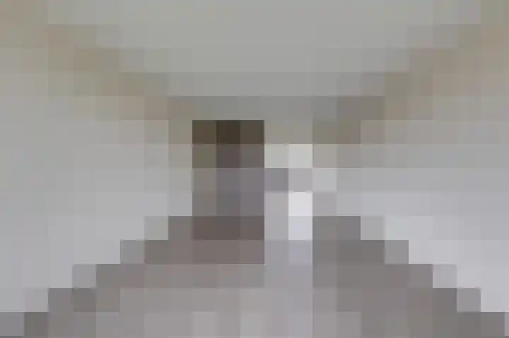 Hooiberg 26 22 Didam thumbnail 28