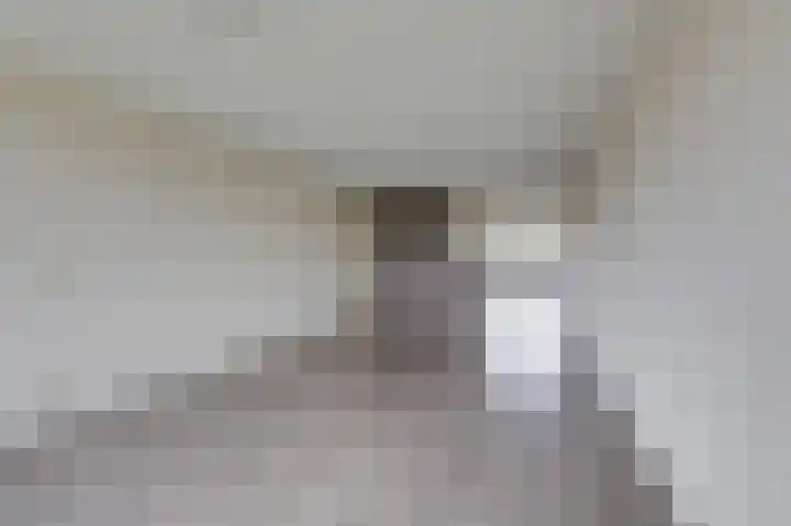 Hooiberg 26 22 Didam thumbnail 30