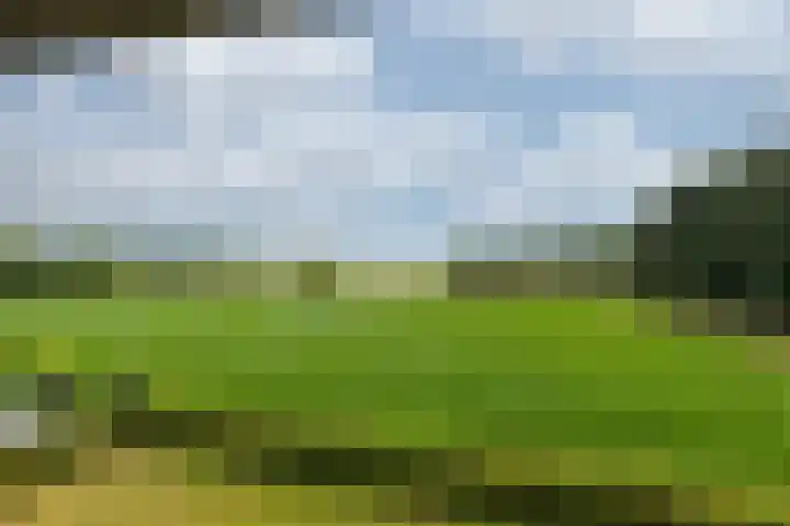 Hooiberg 26 22 Didam thumbnail 43