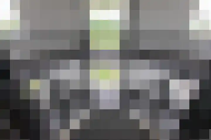 Hooiberg 26 22 Didam thumbnail 8