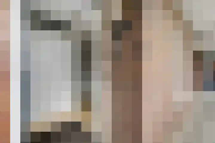 Hooiberg 26 5 Didam thumbnail 10