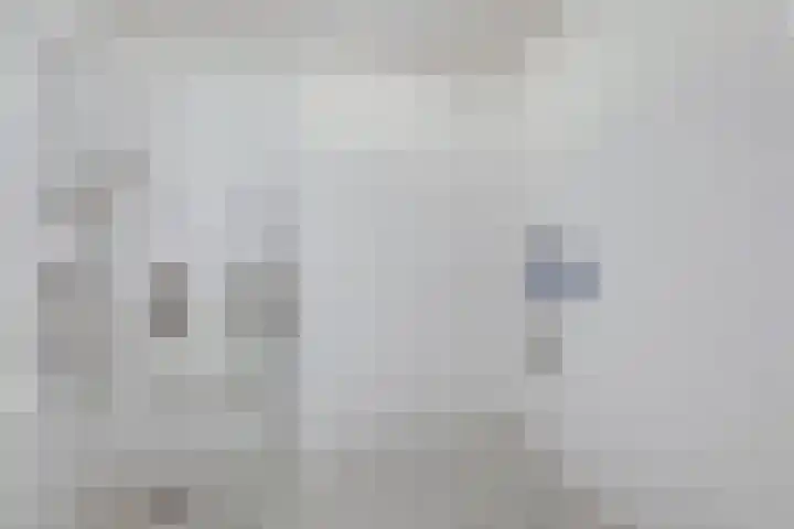 Hooiberg 26 5 Didam thumbnail 16