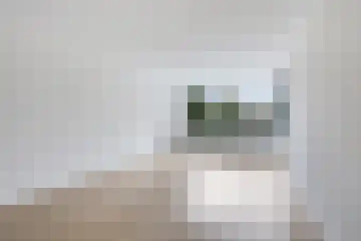 Hooiberg 26 5 Didam thumbnail 20