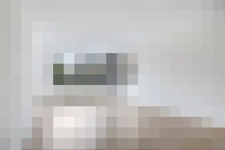Hooiberg 26 5 Didam thumbnail 21