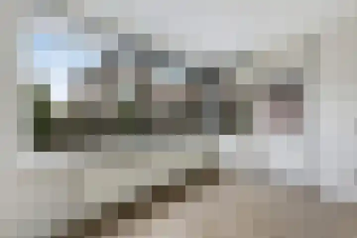 Hooiberg 26 5 Didam thumbnail 25