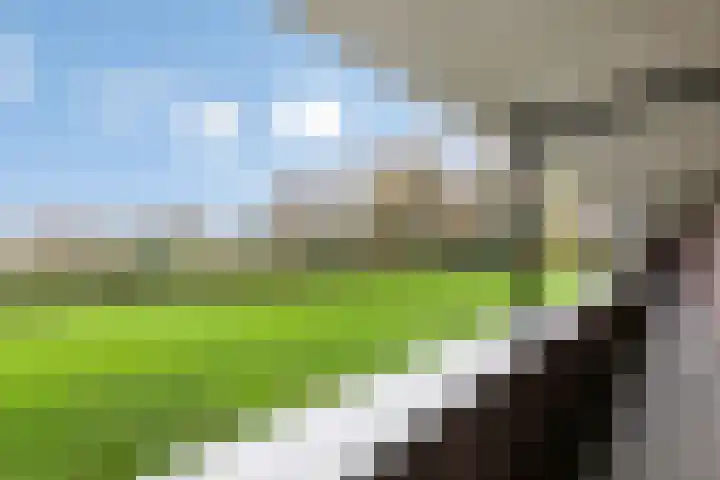 Hooiberg 26 5 Didam thumbnail 35