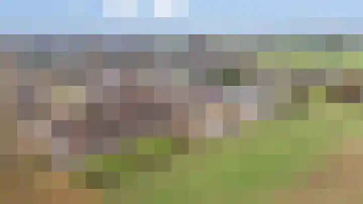 Hooiberg 26 5 Didam thumbnail 37