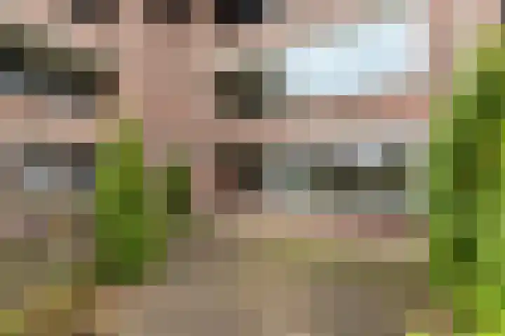 Hooiberg 26 5 Didam thumbnail 4