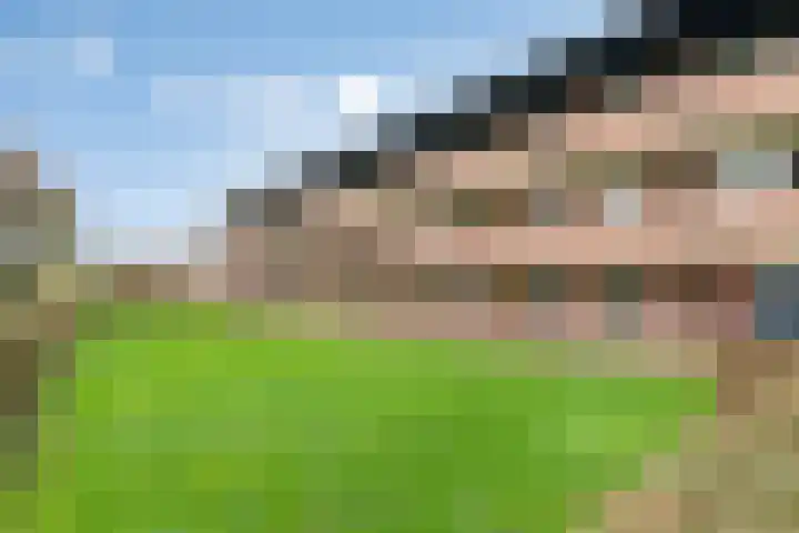 Hooiberg 26 5 Didam thumbnail 6