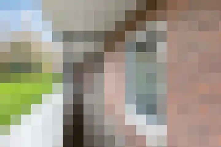 Hooiberg 26 5 Didam thumbnail 7
