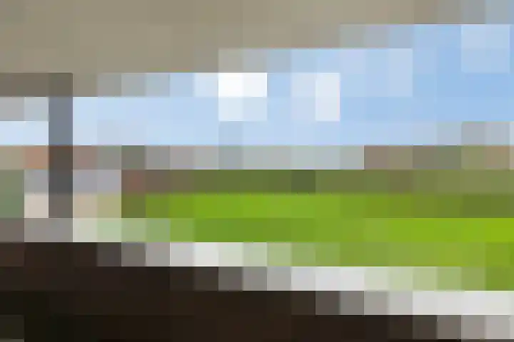 Hooiberg 26 5 Didam thumbnail 8