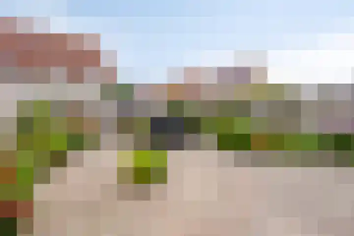 Hooidamsloot 18 Lelystad thumbnail 29