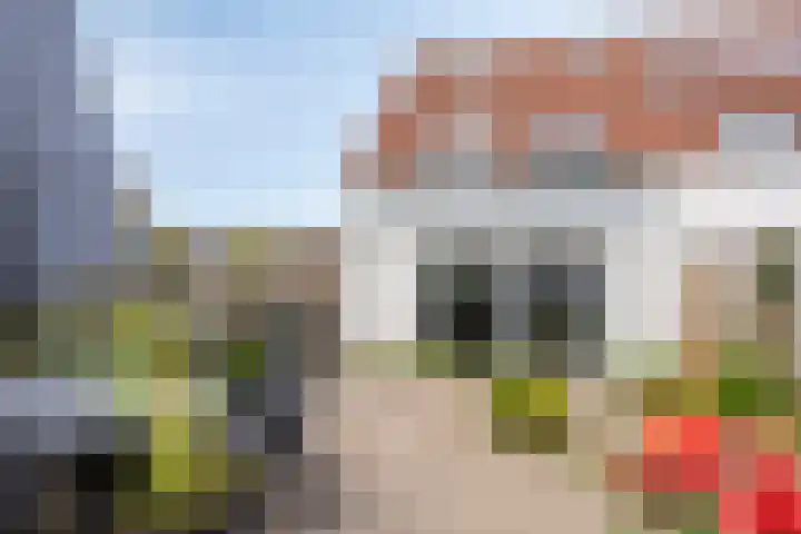 Hooidamsloot 18 Lelystad thumbnail 31