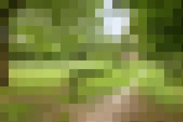 Hooidamsloot 18 Lelystad thumbnail 35