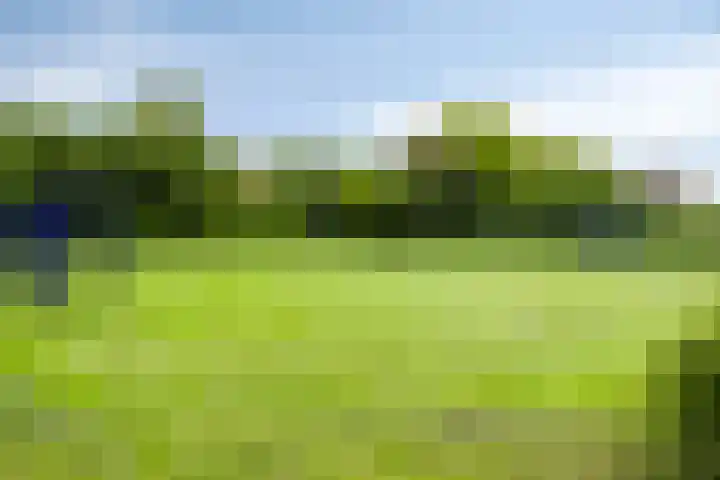 Hooidamsloot 18 Lelystad thumbnail 38