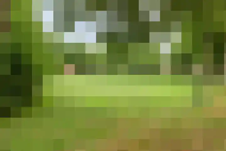 Hooidamsloot 18 Lelystad thumbnail 4
