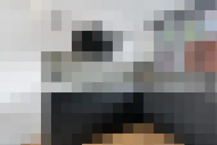 Hooidamsloot 4 Lelystad thumbnail 10