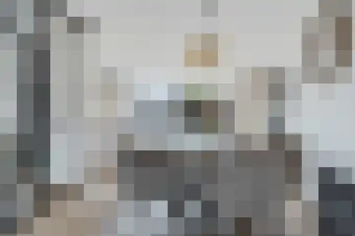 Hooidamsloot 4 Lelystad thumbnail 12