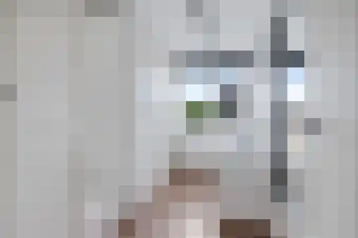 Hooidamsloot 4 Lelystad thumbnail 16