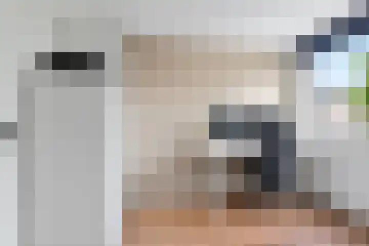 Hooidamsloot 4 Lelystad thumbnail 17