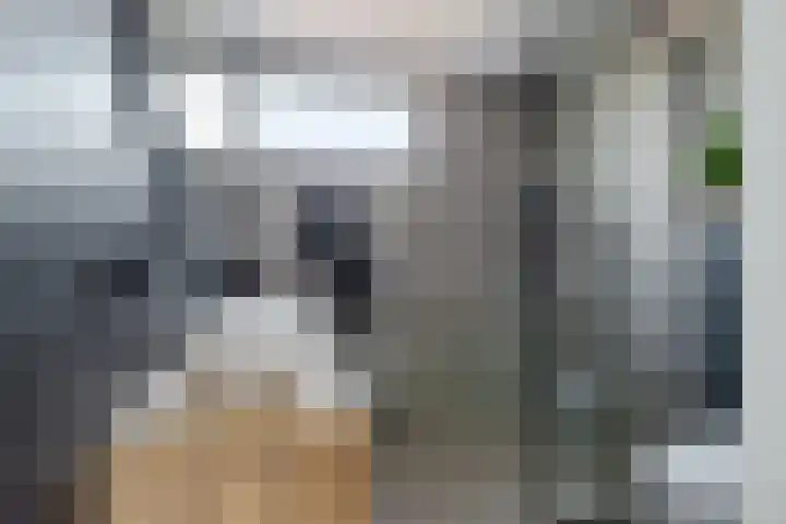 Hooidamsloot 4 Lelystad thumbnail 20
