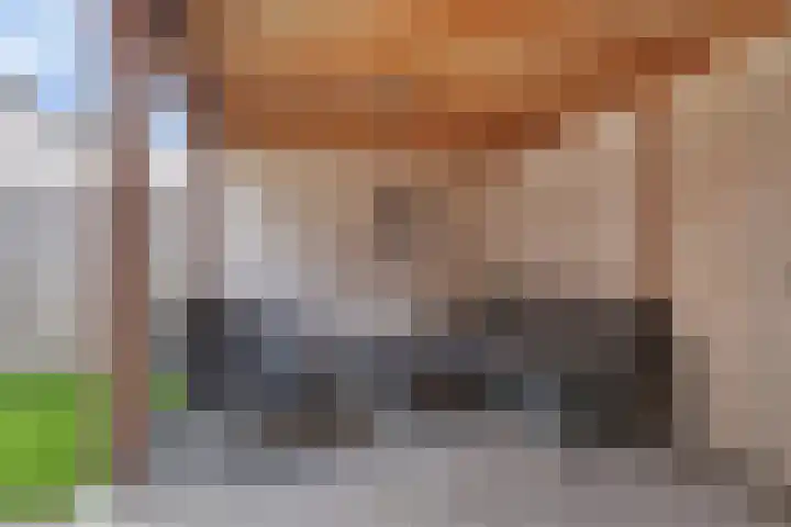 Hooidamsloot 4 Lelystad thumbnail 31