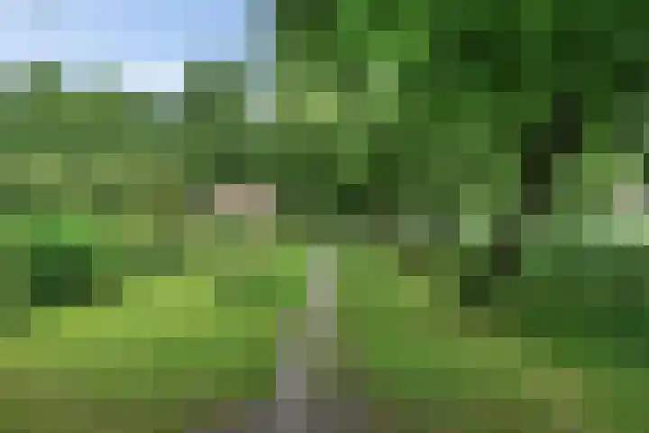Hooidamsloot 4 Lelystad thumbnail 34