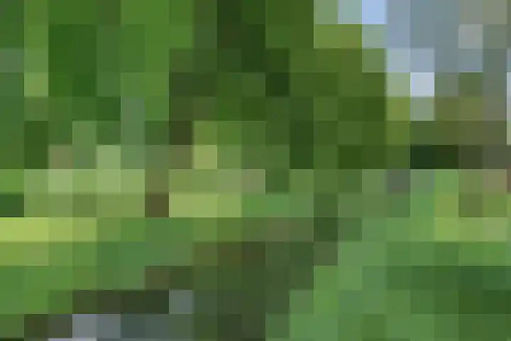 Hooidamsloot 4 Lelystad thumbnail 35