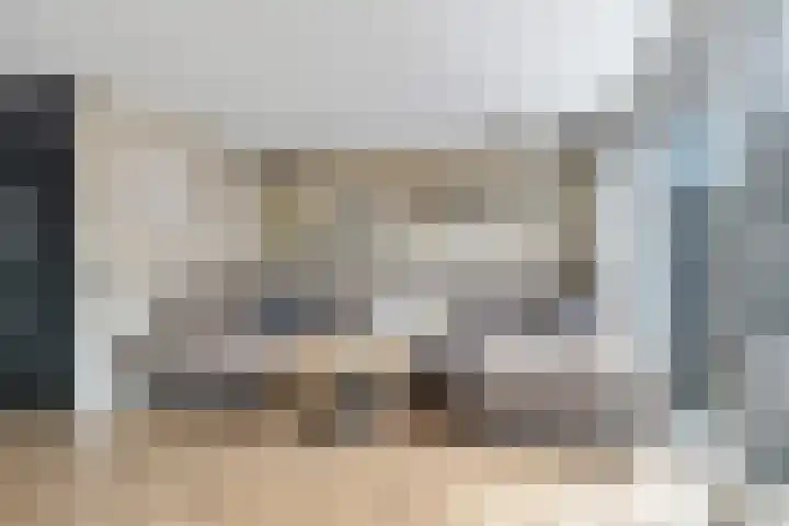 Hooidamsloot 4 Lelystad thumbnail 6