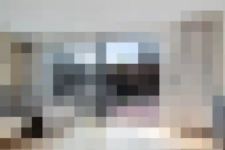 Hooidamsloot 4 Lelystad thumbnail 7